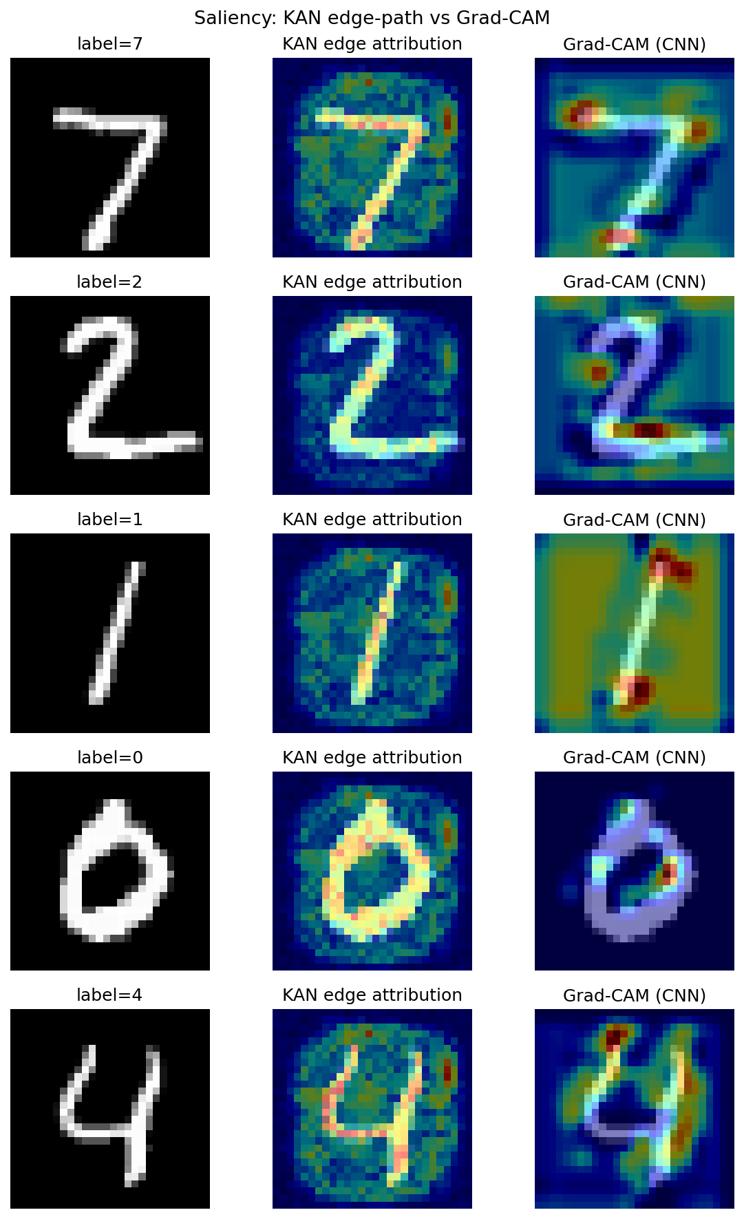 KAN attribution vs Grad-CAM